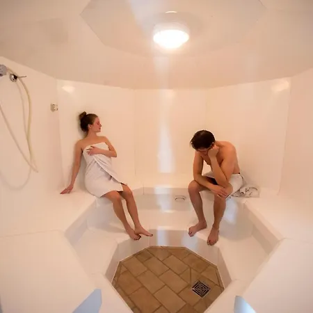 Panoramic Hohegeiss App 646 U 647 Mit Wlan