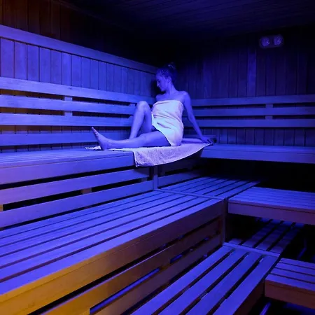 Panoramic Hohegeiss App 646 U 647 Mit Wlan Διαμέρισμα Braunlage