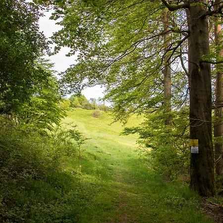 Panoramic Hohegeiss App 646 U 647 Mit Wlan