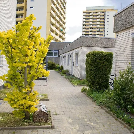Panoramic Hohegeiss App 646 U 647 Mit Wlan Apartment