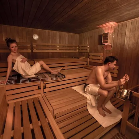 Panoramic Hohegeiss App 646 U 647 Mit Wlan Braunlage